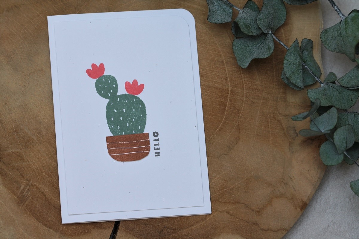 Cactus Cuties & Katalogparty
